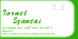 kornel szantai business card